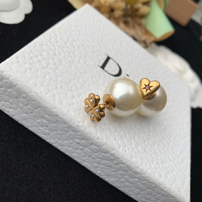 Dior Earrings CE14164