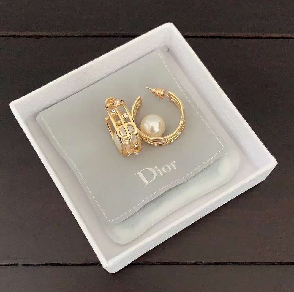 Dior Earrings CE14251