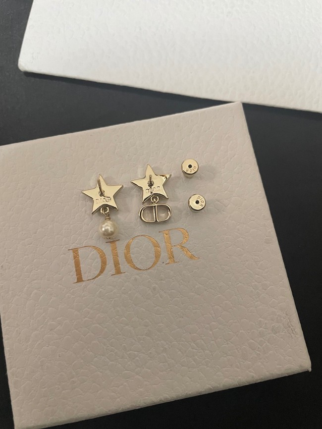 Dior Earrings CE14322