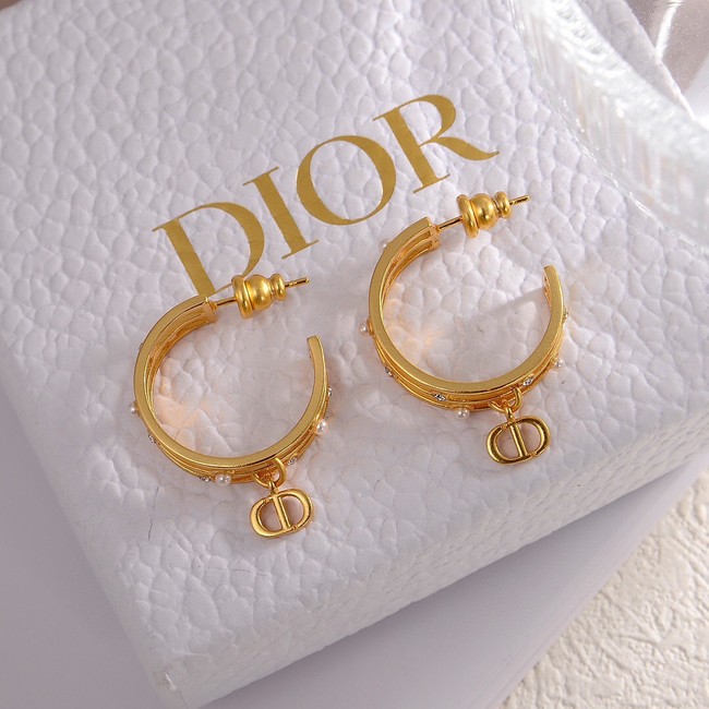 Dior Earrings CE14376