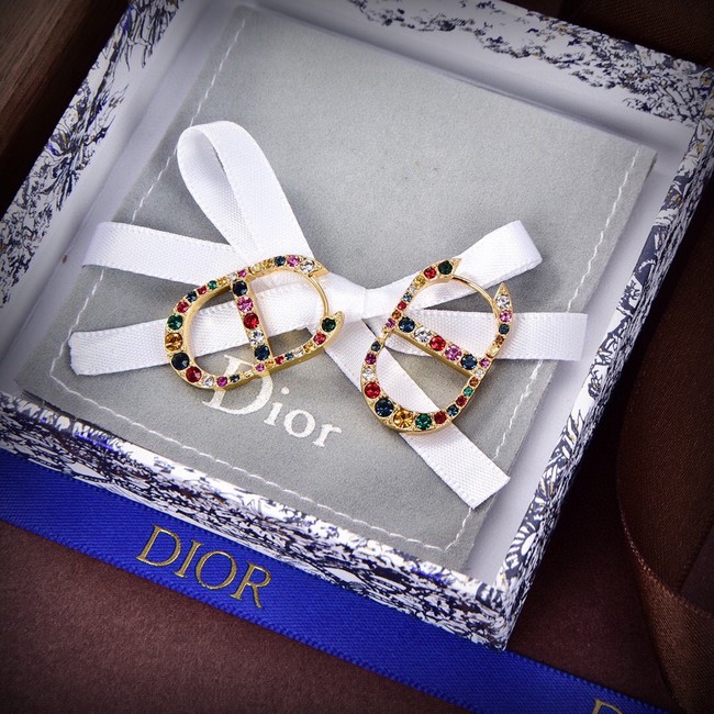 Dior Earrings CE14377