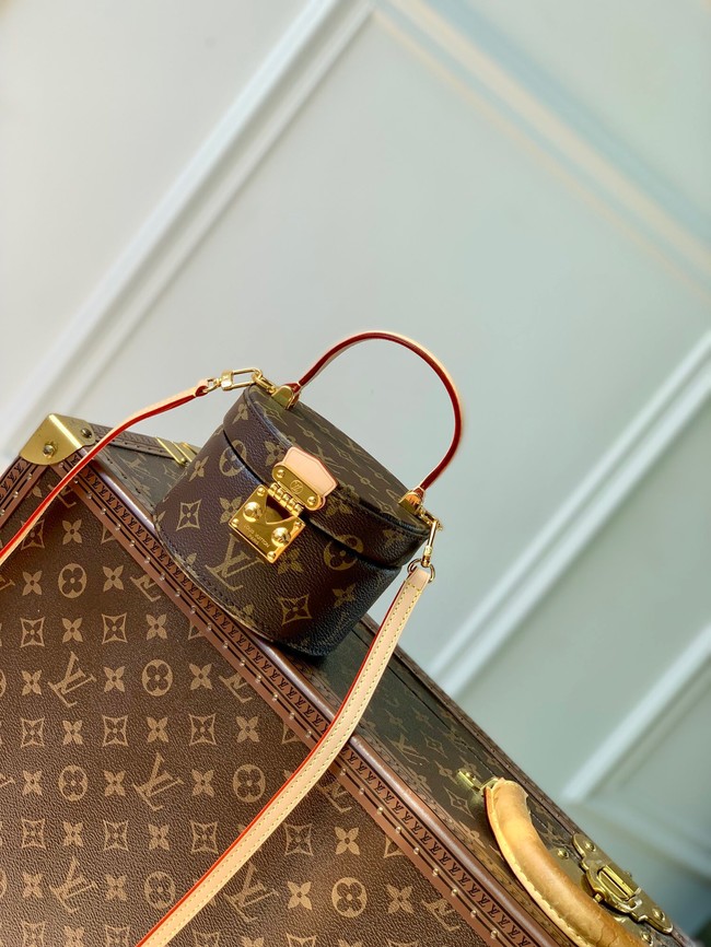 Louis Vuitton Scott M46933