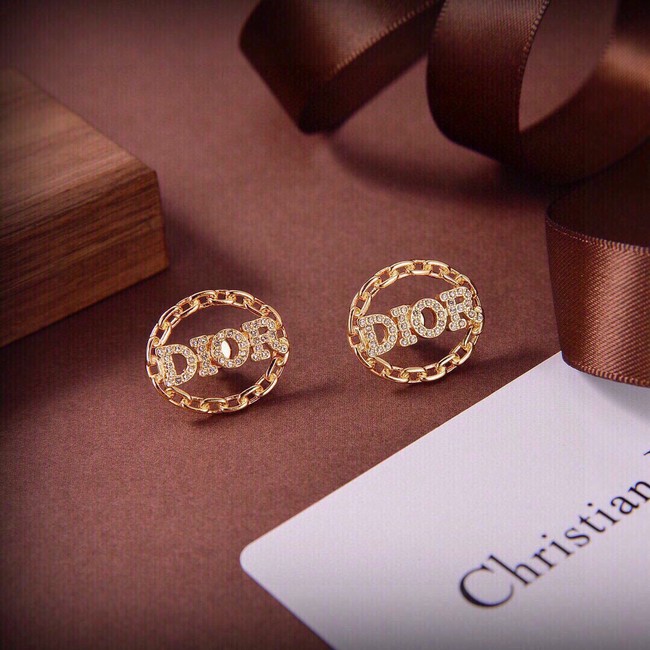 Dior Earrings CE14916