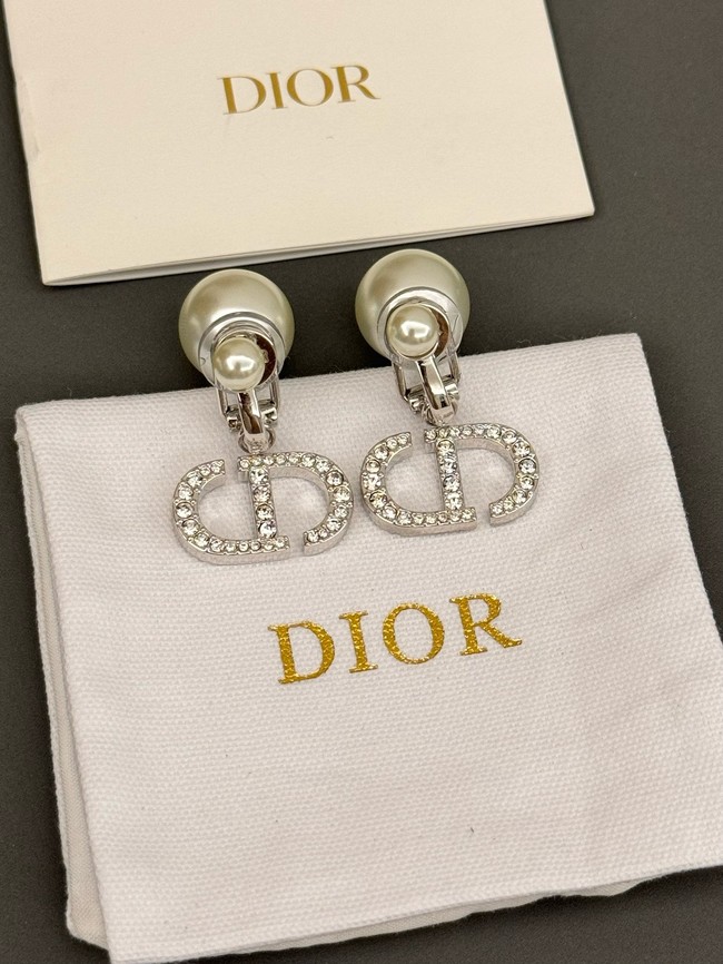 Dior Earrings CE15240