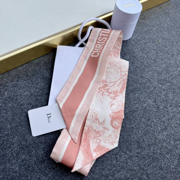 Dior Scarf DIC00370