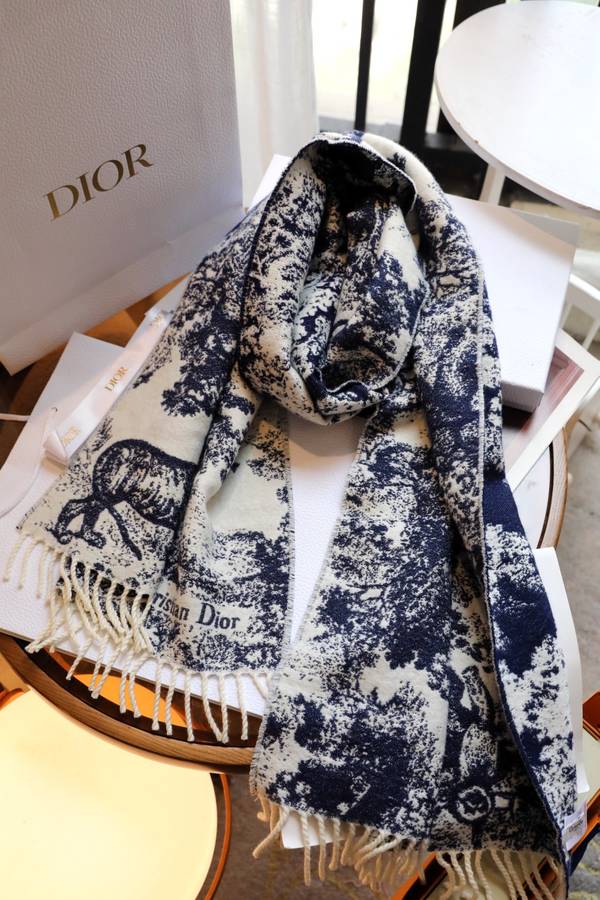 Dior Scarf DIC00373