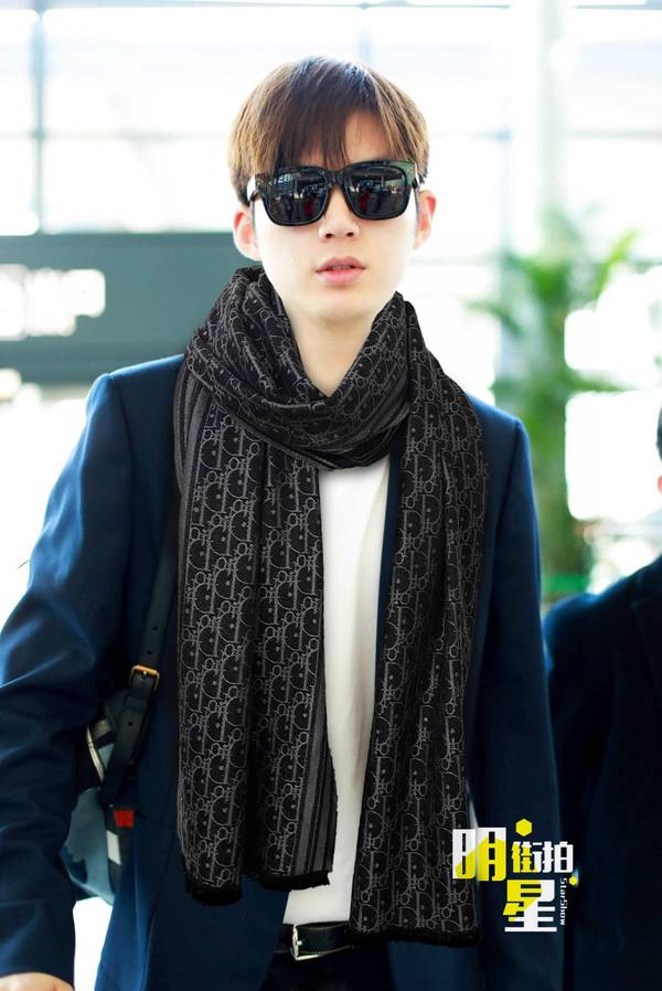 Dior Scarf DIC00382