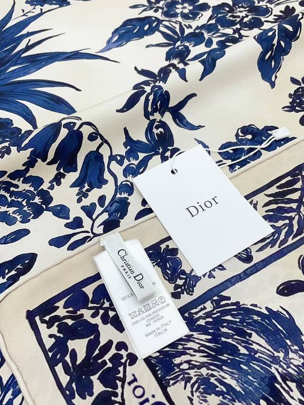 Dior Scarf DIC00390