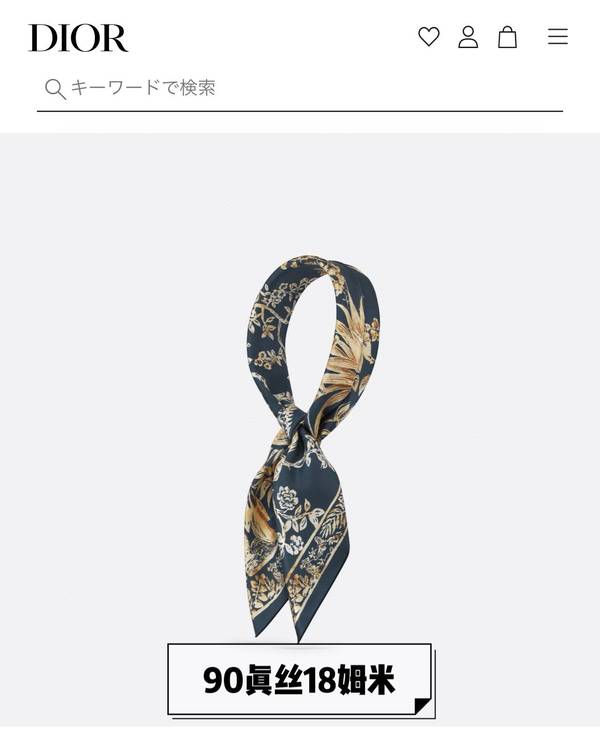 Dior Scarf DIC00391