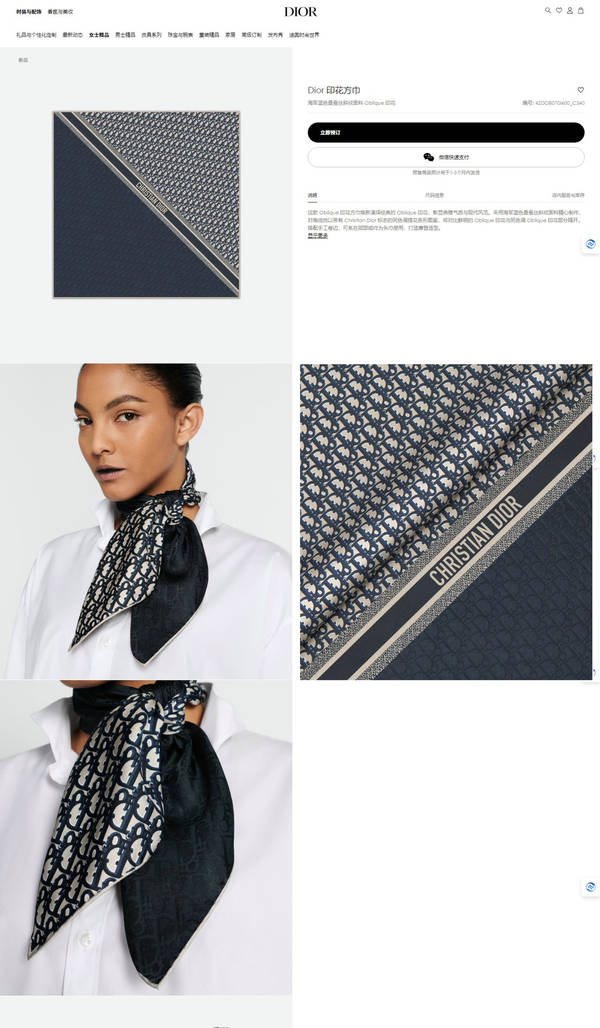 Dior Scarf DIC00403