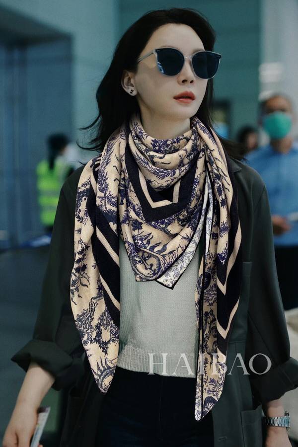 Dior Scarf DIC00441