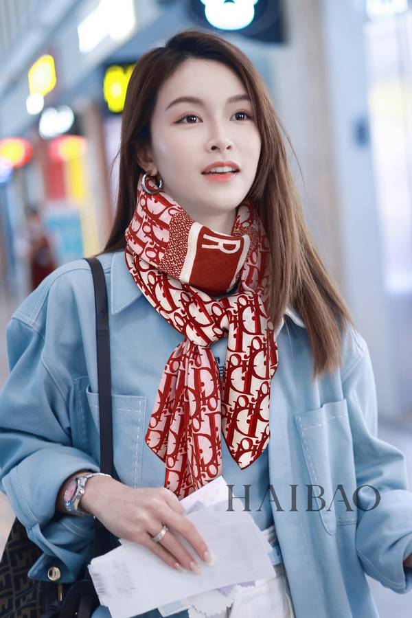 Dior Scarf DIC00456