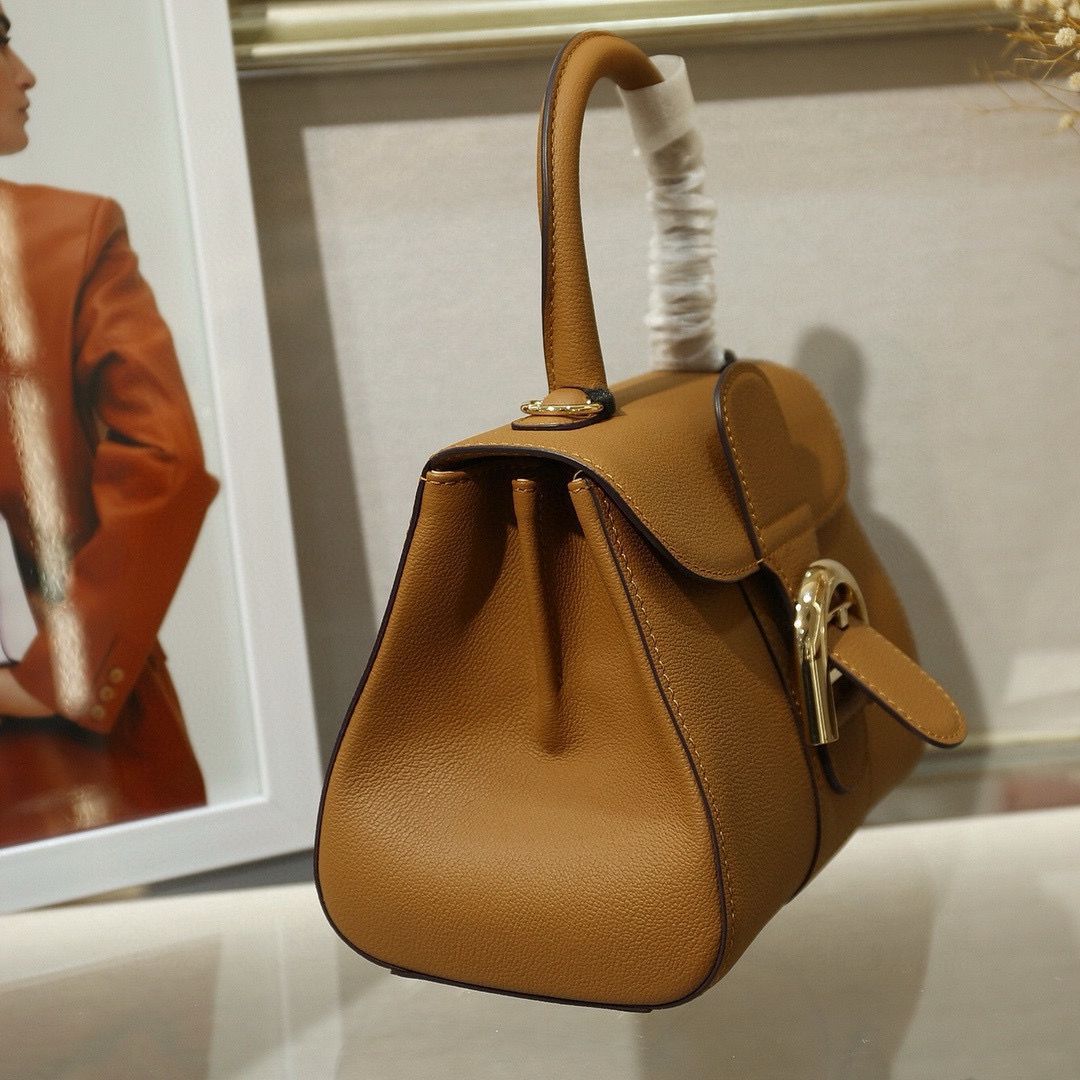 Delvaux Original Leather Tote Bag 16930 Camel