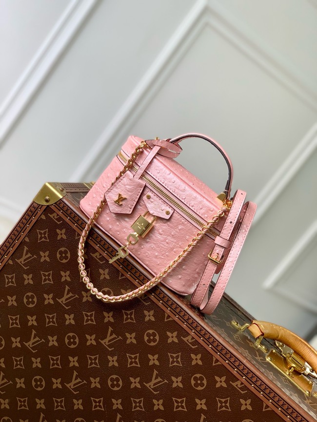 Louis Vuitton Vanity PM M25123 pink