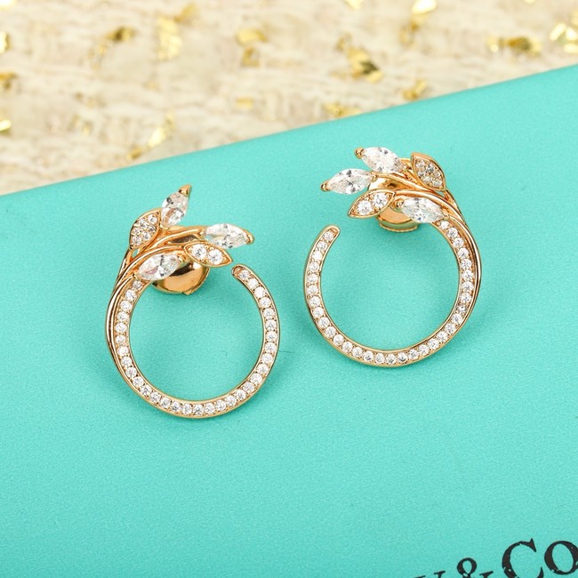 TIFFANY Earrings CE15415