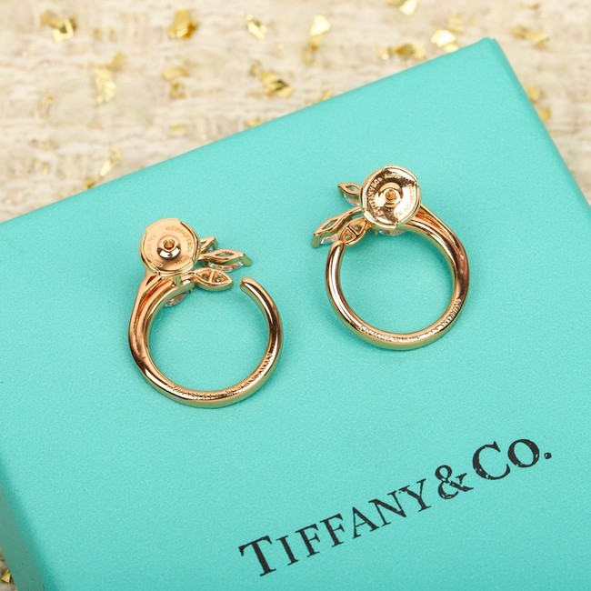 TIFFANY Earrings CE15415