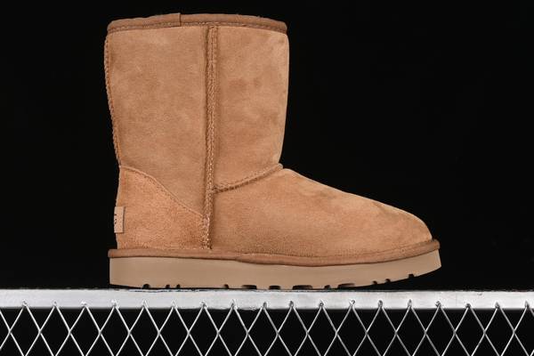 UGG Shoes UGS00170