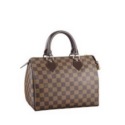 Louis Vuitton Damier Ebene Canvas Speedy 25 N41532